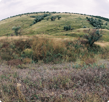 село Чернігівка
