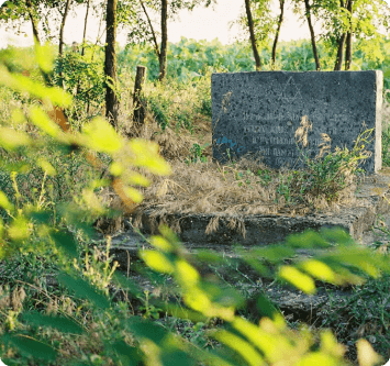 село Павлинка